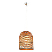 1 - Light Pendant Light in Bird Cage Feature