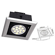 12W LED Spotlight in Warm White Light Source