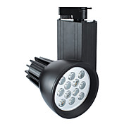 1W LED Track Light with 12 Lights in Black Color