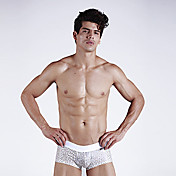 cueca homens leopardo sexy