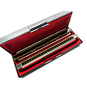 Kaine - (K2411) Professional Tremolo Harmonica 2 keys/24 Holes/48 Tones