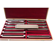 Kaine - (K2413) Professional Tremolo Harmonica 12 keys Pack/24 Holes/24 Tones