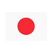 10 Stück Japan temporaty Tattoo-Aufkleber