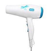 220V Paiter Electric Hair Dryer HD9902