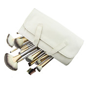 Color Shine-set di alta qualità persiano lana spazzola (18pcs)
