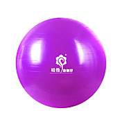 HATHA Yoga Ball Diameter 65cm