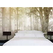 Morning Mist Natur Mural
