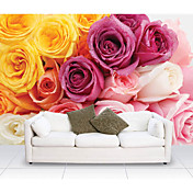 Rose Colorate murali natura floreale