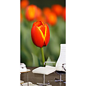 Red Tulips Floral Nature Mural