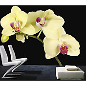Jaune Murale Nature Floral