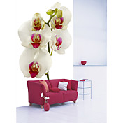 Floral Nature Mural