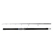 Fuji carbonio 98% 2-Sezioni Spinning Fishing Lure Rod (250cm)
