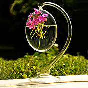 Colgante florero de cristal claro