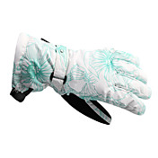 Outdoor Waterproof Vrouwen Skiën Handschoenen met Space Cotton invoegen