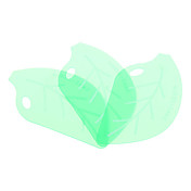 Cucina Helper Foglia a forma di cottura Cleaner Ruspe Ware (3-Pack)