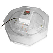 Effacer JANOEL Top Digital Display Turbo Fan 60 oeufs Incubateur