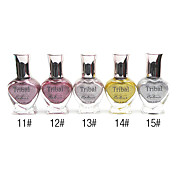 Glitter Hot Sale Nail Polish (12ml,5 Bottle)