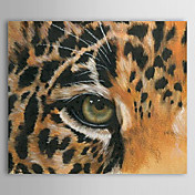 Hand Painted Oliemaleri Animal 1304-AN0094