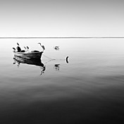 barco paisagem impresso arte e garça ii por Moises Levy