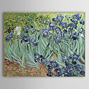 Berühmte Ölgemälde Iris durch Van Gogh