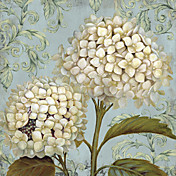 Printed Art Floral Ornament XI by Daphné B.