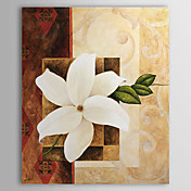 Dipinti a mano olio pittura floreale 1305-FL0114