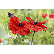 Printed Art Floral Poppies And Butterfly by Bill Makinson