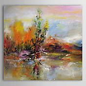 Dipinti a mano olio pittura astratta 1305-AB0563