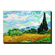 Campo de trigo con cipreses, c.1889 de Vincent Van Gogh famoso lienzo envuelto para galerías