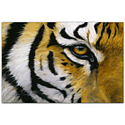 Gedruckt Kunst Tiere Eye of the Tiger von Lucie Bilodeau