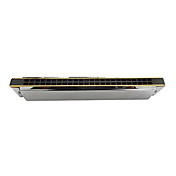 Qimei - (QM24A) Особый тон Гармоника 12 Keys/24 отверстий