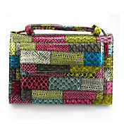 Lady's Cute Multi Color Clutch