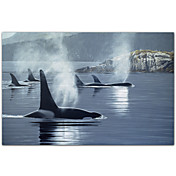 Gedruckt Kunst Tiere Morning Mist von Ron Parker