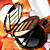  Free Professional Cosmetic Brush Set + 10 Double Deck Colors Eyeshadow Palette