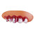  diente de goma horribles + dedo fijado para Halloween (5-piece set)