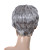  capless peruca de cabelo curto cinza em linha reta (0463-6.13-293)