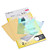  Genuine Hori Screen Protector for Nintendo DS Lite