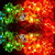  3M 2.5W 20-LED Colorful Light Flower Shaped String Fairy Lamp (110/220V)