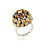  Hemicycle Ring