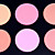  10 couleurs professionnelles rougir palette (yy015)