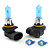  9005 ampoules halogènes phares de lampes (12v, 100w)