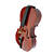  Glossy Aged Spruce Cello with Stand