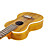  yadars - ukulele concerto con gig bag / pitch pipe / proposte / capo