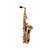  HLS1 Student Alto Saxophone