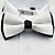  Business Married Gentleman Bow Tie
