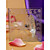  Shell and Starfish Frosted Glass Coasters(set of 2)
