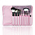  Color Shine-hochwertiger Wolle Pinsel-Set (10 Stück)