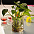  Cylinder Shaped Glass Vast