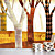  Trees Contemporary Graphics Nature Mural