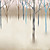 Bomen Modern Botanische Natuur Mural